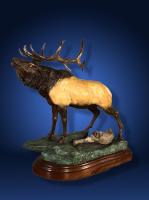 Bugle Call AP by Lorenzo & Laran Ghiglieri