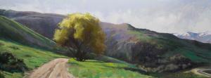 Roadside Tree by Tim Sears