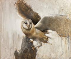 Graceful Landing by Dan Wilson