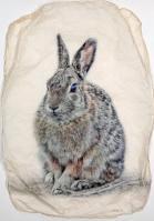 Cottontail (Medium) by Pete Zaluzec